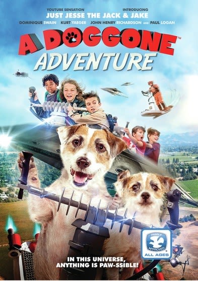 A Doggone Adventure - (NTSC Format) - [DVD]