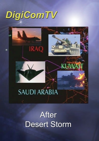 After Desert Storm - (Dolby, Mono Sound, NTSC Format) - [DVD]
