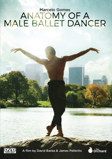 Anatomy Of A Male Ballet Dancer - (NTSC Format) - [DVD]
