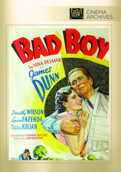 Bad Boy - (Full Frame, NTSC Format) - [DVD]