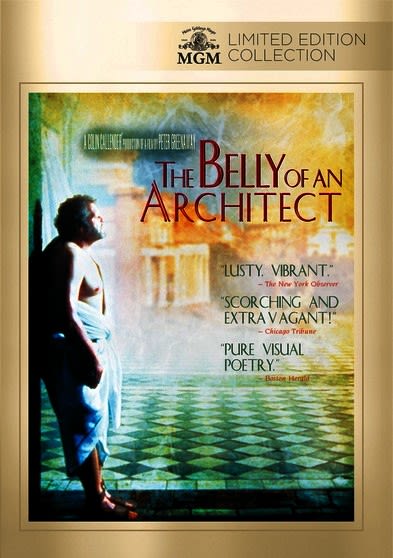 The Belly of an Architect - (Widescreen, NTSC Format) - [DVD]