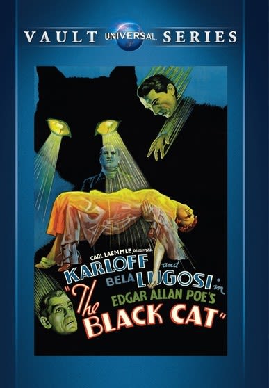 The Black Cat - (Black & White, NTSC Format) - [DVD]