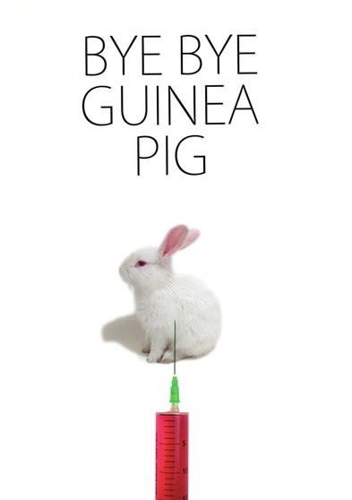 Bye Bye Guinea Pig - (NTSC Format) - [DVD]
