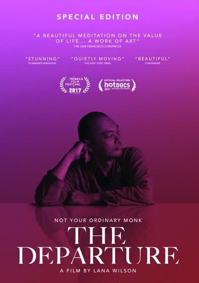 The Departure - (Special Edition, NTSC Format) - [DVD]