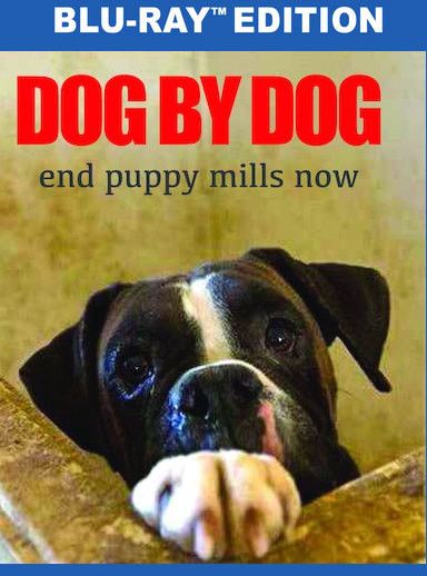 Dog by Dog - (Widescreen) - [Blu-ray]