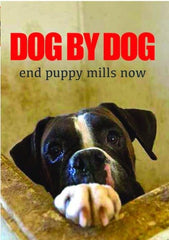 Dog by Dog - (Widescreen, NTSC Format) - [DVD]