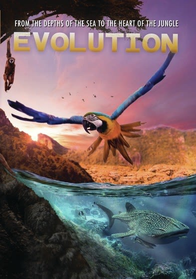 Evolution - [DVD]