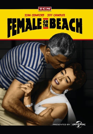 Female on the Beach - [DVD]