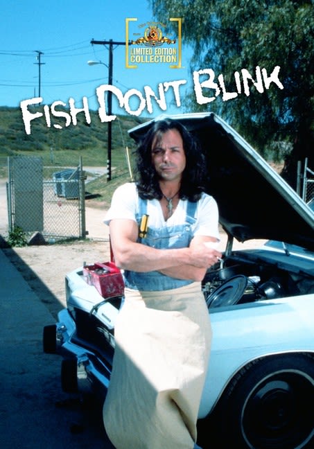 Fish Don't Blink - (Widescreen) - [DVD]