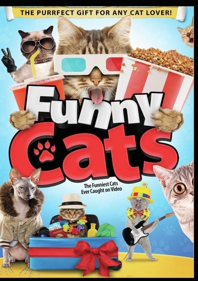 Funny Cats - (NTSC Format) - [DVD]