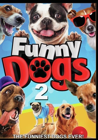 Funny Dogs 2 - (NTSC Format) - [DVD]