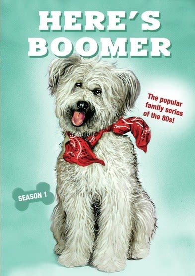Here's Boomer: Season 1 - [DVD]