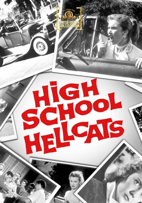 High School Hellcats - [DVD]