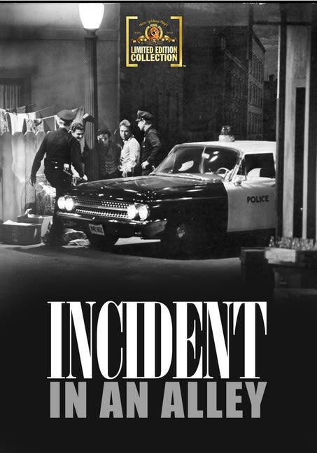 Incident in an Alley - (Full Frame, Mono Sound) - [DVD]