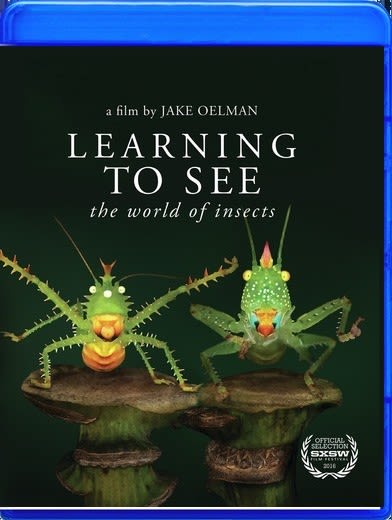 Learning To See: The World Of Insects - (AC-3) - [Blu-ray]