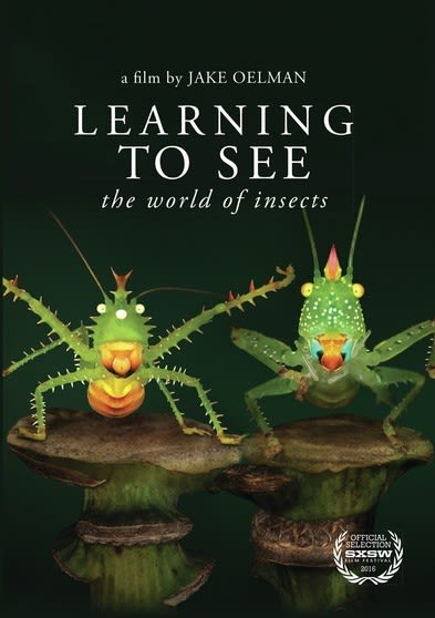 Learning To See: The World Of Insects - (AC-3, NTSC Format) - [DVD]