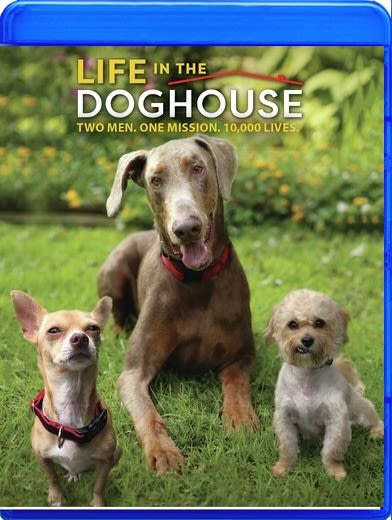 Life In The Doghouse - (AC-3) - [Blu-ray]