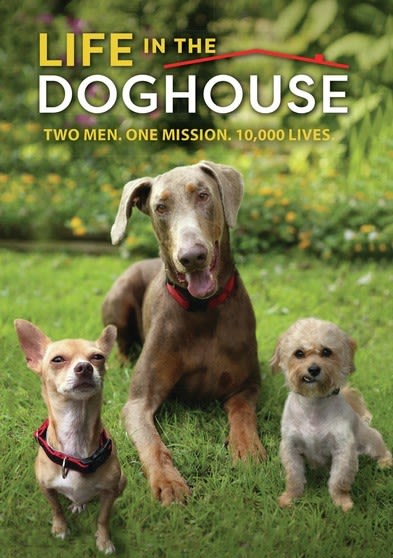 Life In Doghouse - [DVD]