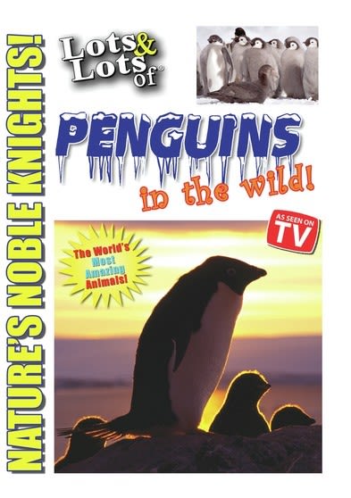 Lots and Lots of Penguin in the Wild - [DVD]