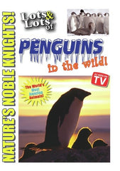 Lots and Lots of Penguin in the Wild - [DVD]
