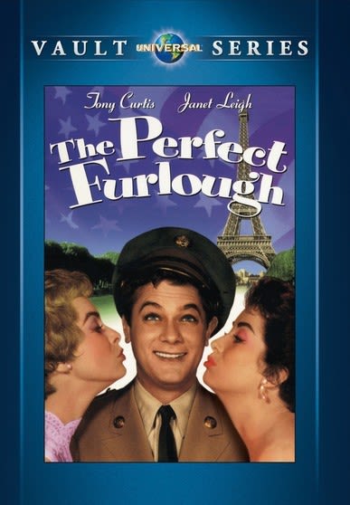 The Perfect Furlough - (NTSC Format) - [DVD]