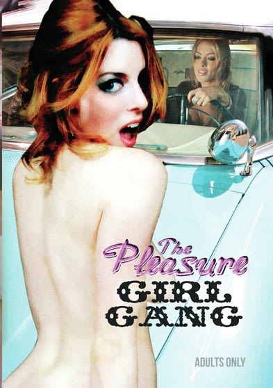 The Pleasure Girl Gang - (Widescreen, NTSC Format) - [DVD]