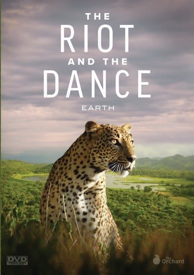The Riot And The Dance: Earth - (NTSC Format) - [DVD]
