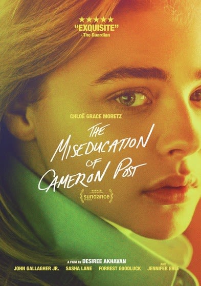 The Miseducation of Cameron Post - (AC-3, NTSC Format) - [DVD]