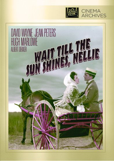 Wait Till the Sun Shines, Nellie - [DVD]