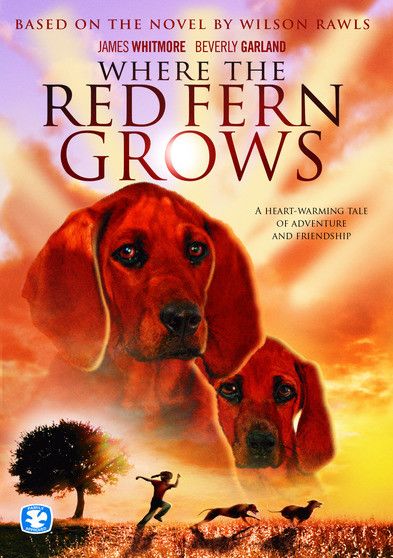 Where the Red Fern Grows - [DVD]