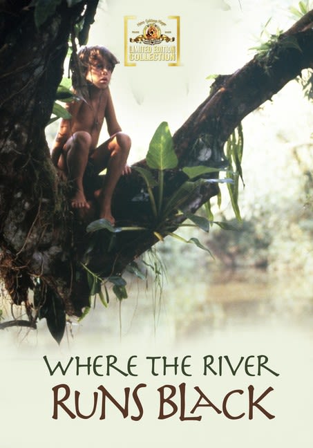Where the River Runs Black - (Widescreen) - [DVD]