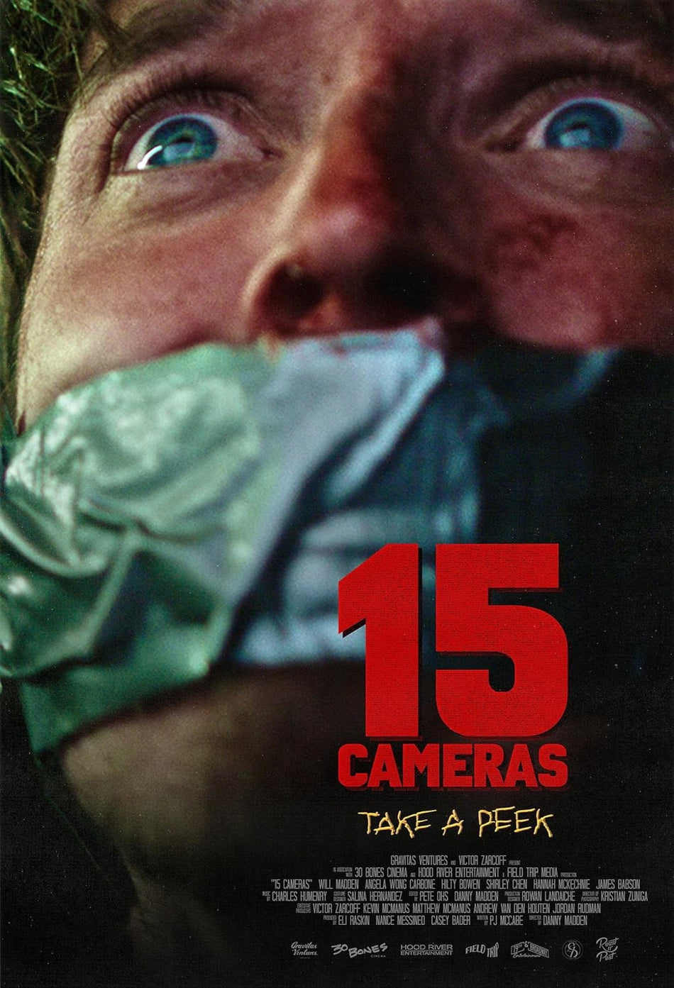 15 Cameras - (Dolby, AC-3) - [DVD]
