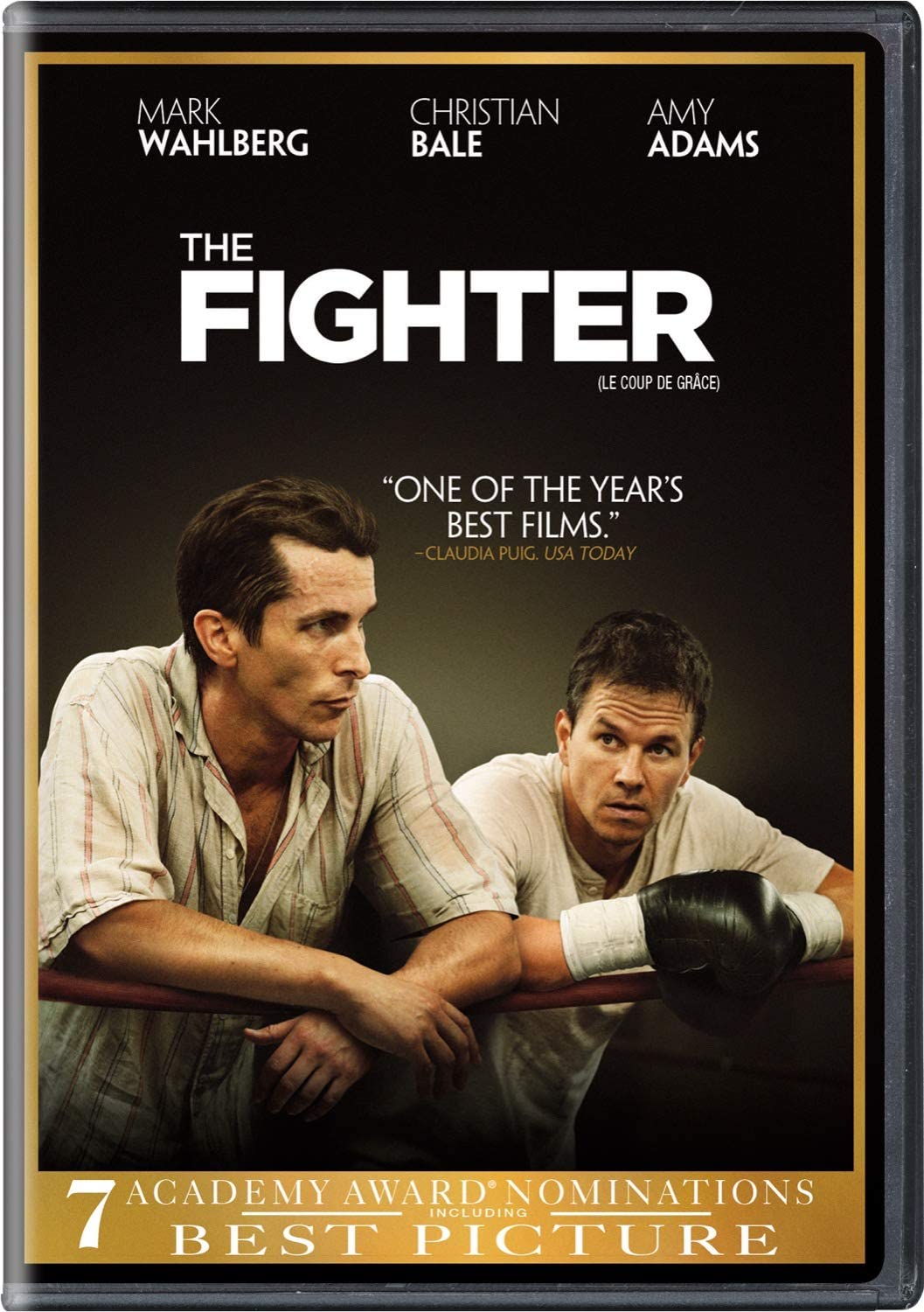 Fighter, The - [DVD]