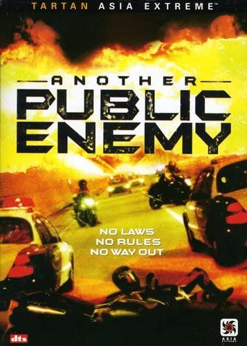 Another Public Enemy - (Subtitled, Widescreen, Dolby, AC-3, Digital Theater System) - [DVD]