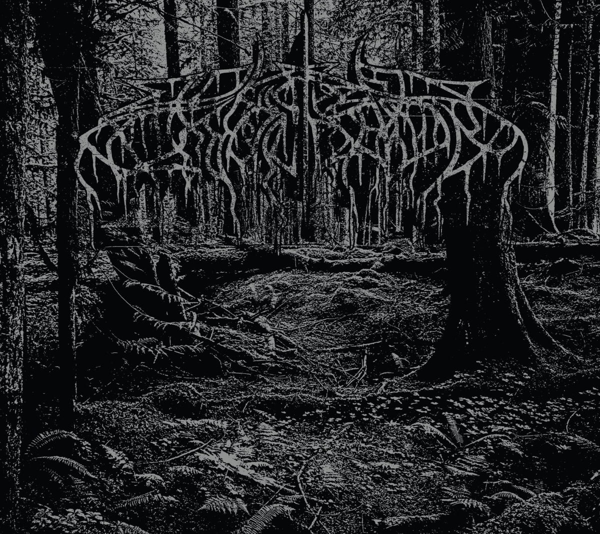 Wolves in the Throne Room - 2005 Demo - [CD]
