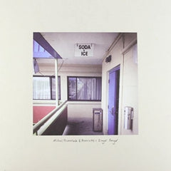 Michael Feuerstack - 2014RSD: Singer Songer - [Vinyl]