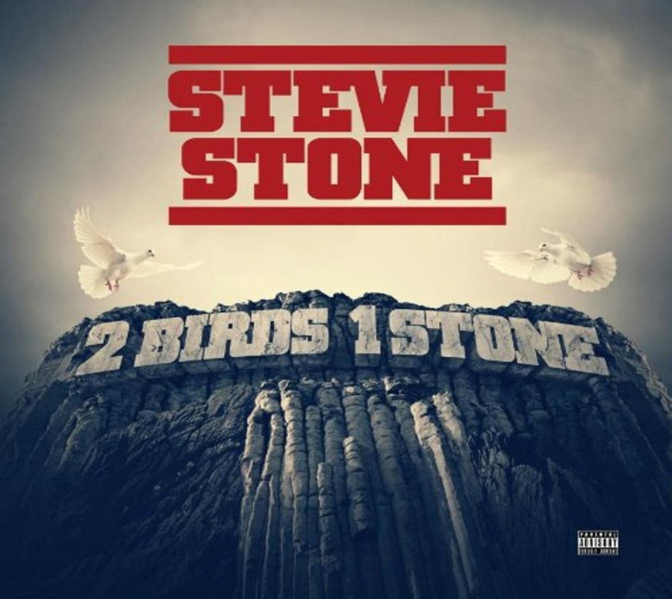 Stone Stevie - 2 BIRDS 1 STONE - [CD]