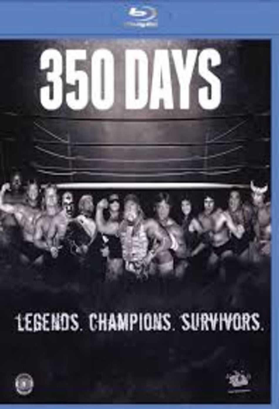 350 Days - [DVD]