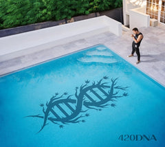 Chillinit - 420DNA - [CD]