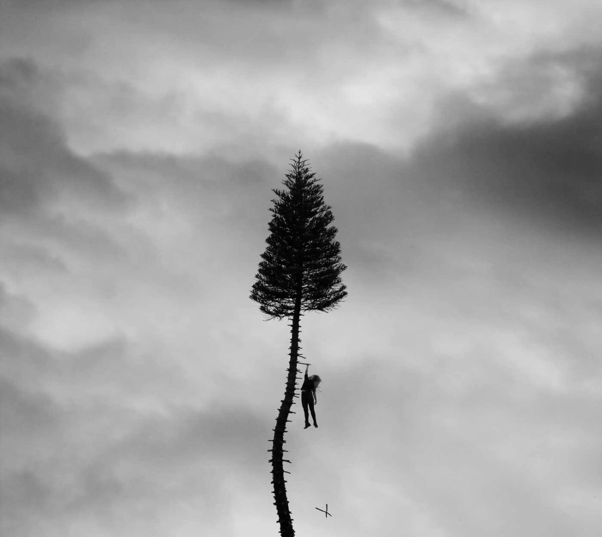 Manchester Orchestra - A Black Mile To The Surface - [CD]