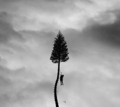 Manchester Orchestra - A Black Mile To The Surface - [CD]