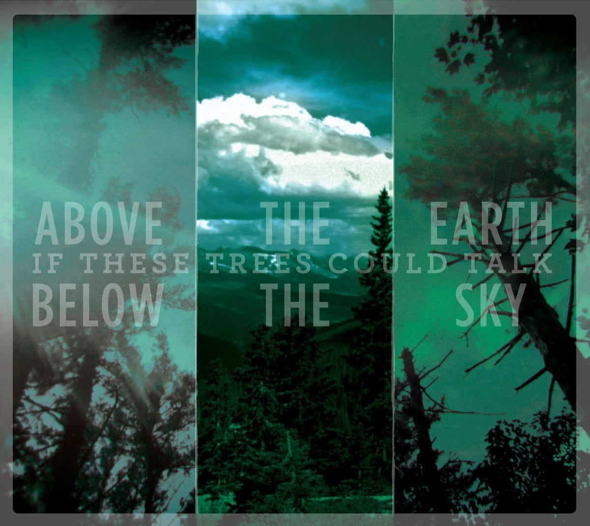If These Trees Could Talk - Above the Earth Below the Sky - [CD]