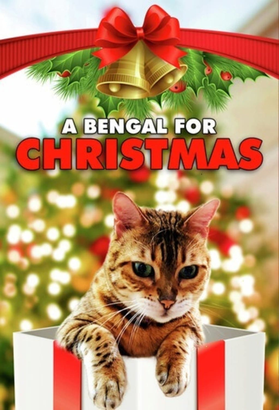 A Bengal For Christmas - [DVD]