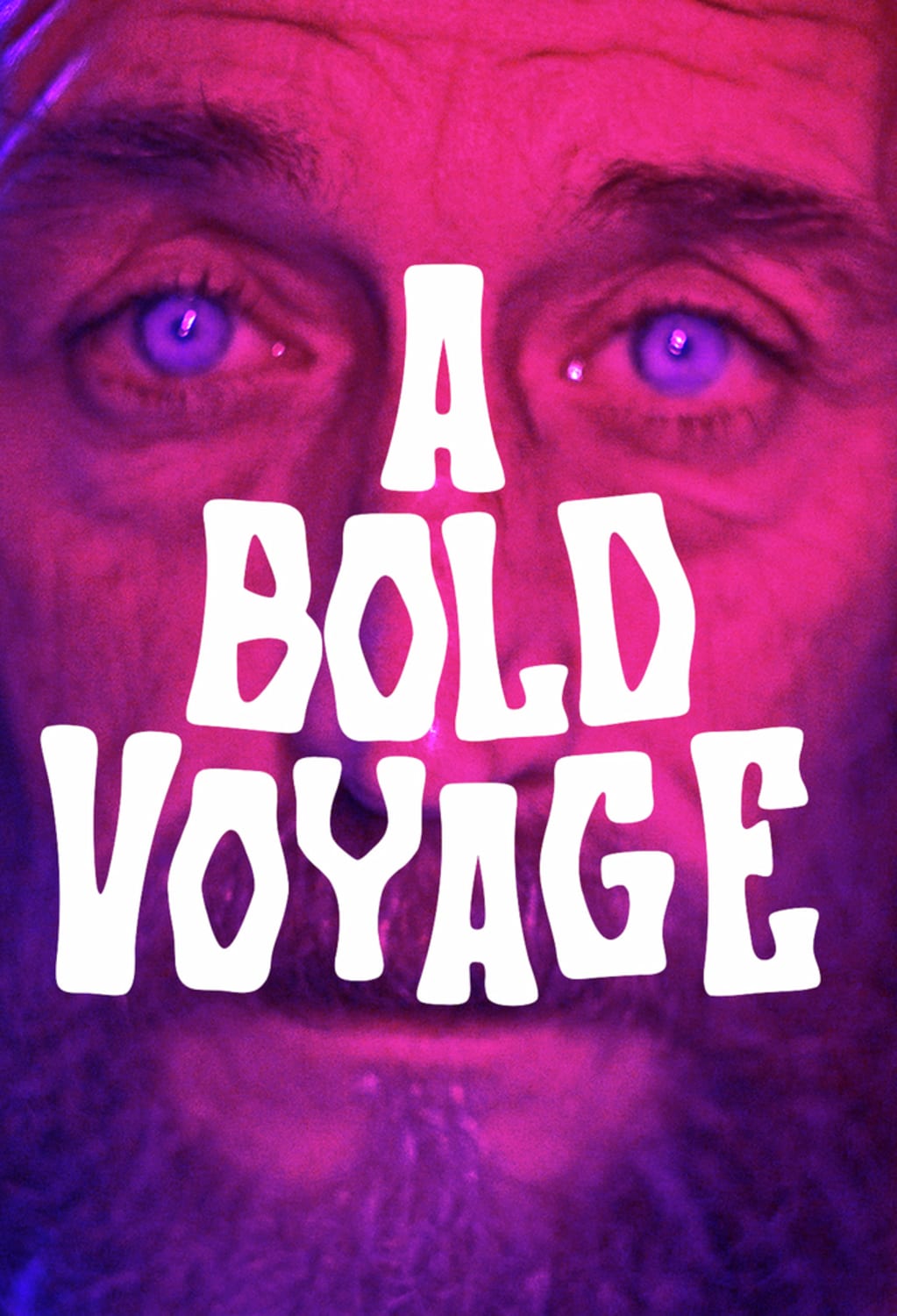A Bold Voyage - [DVD]