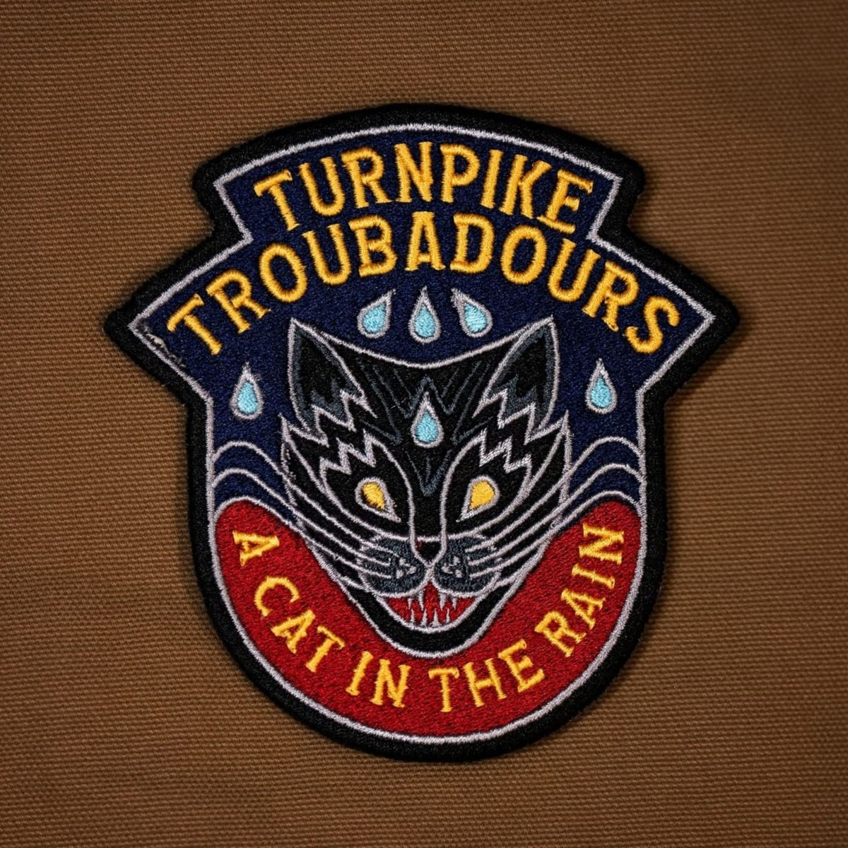 Turnpike Troubadours - A Cat In The Rain - [Vinyl]