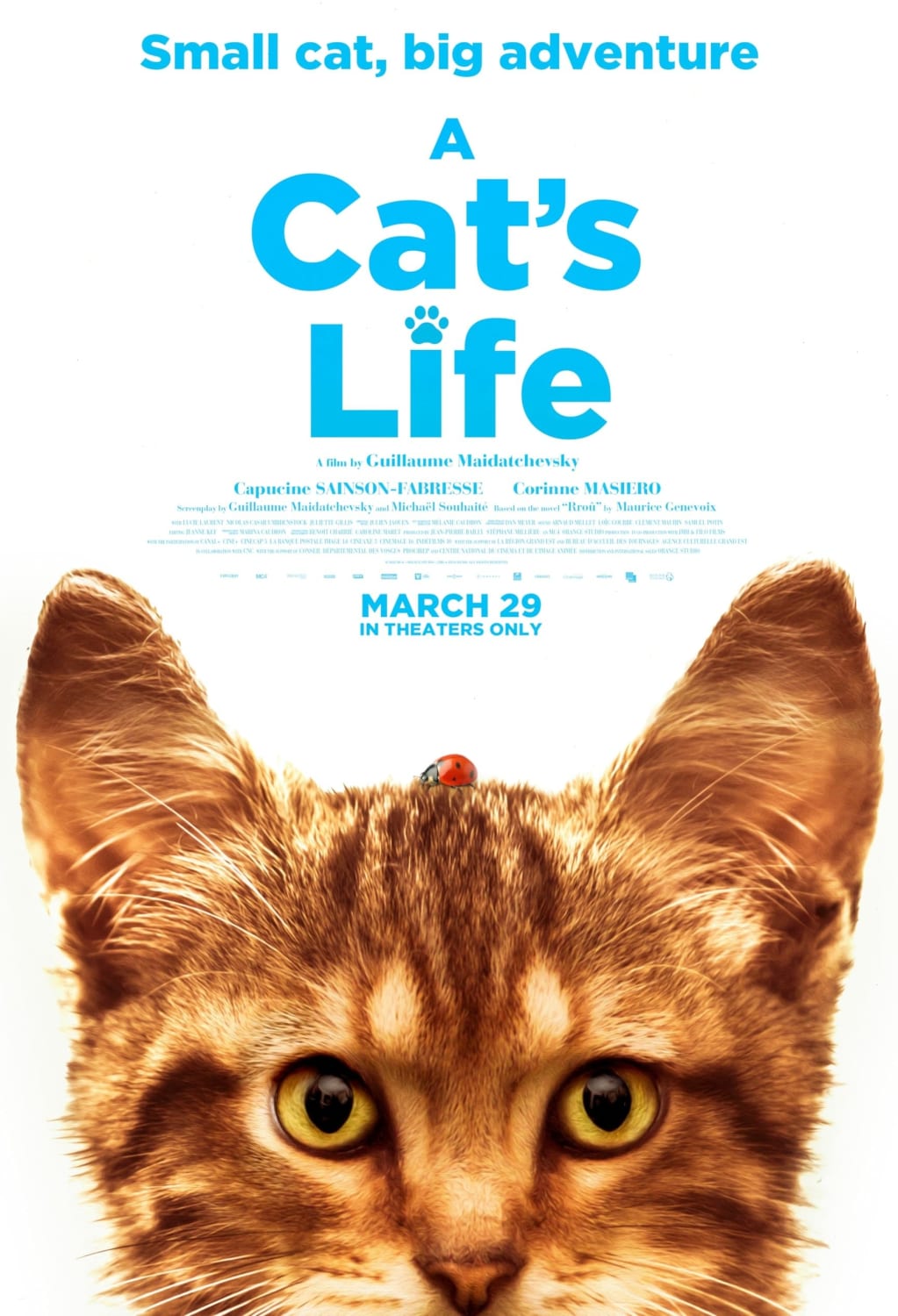 Cat's Life - (AC-3, Dubbed, Dolby, NTSC Format) - [DVD]