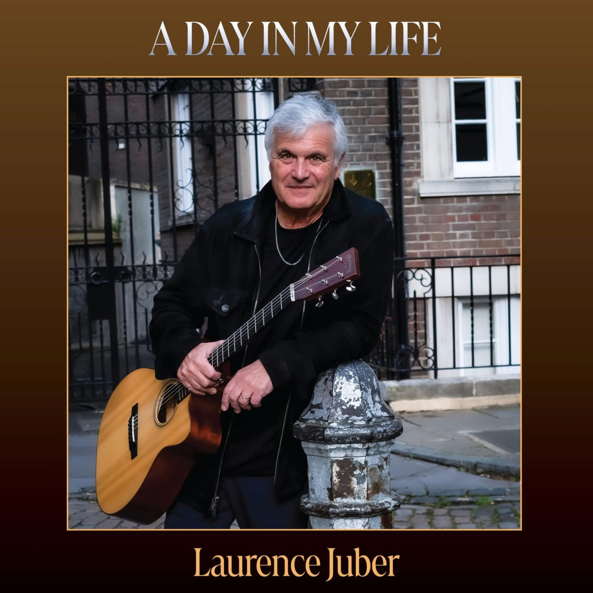 Laurence Juber - Day In My Life - [Vinyl]