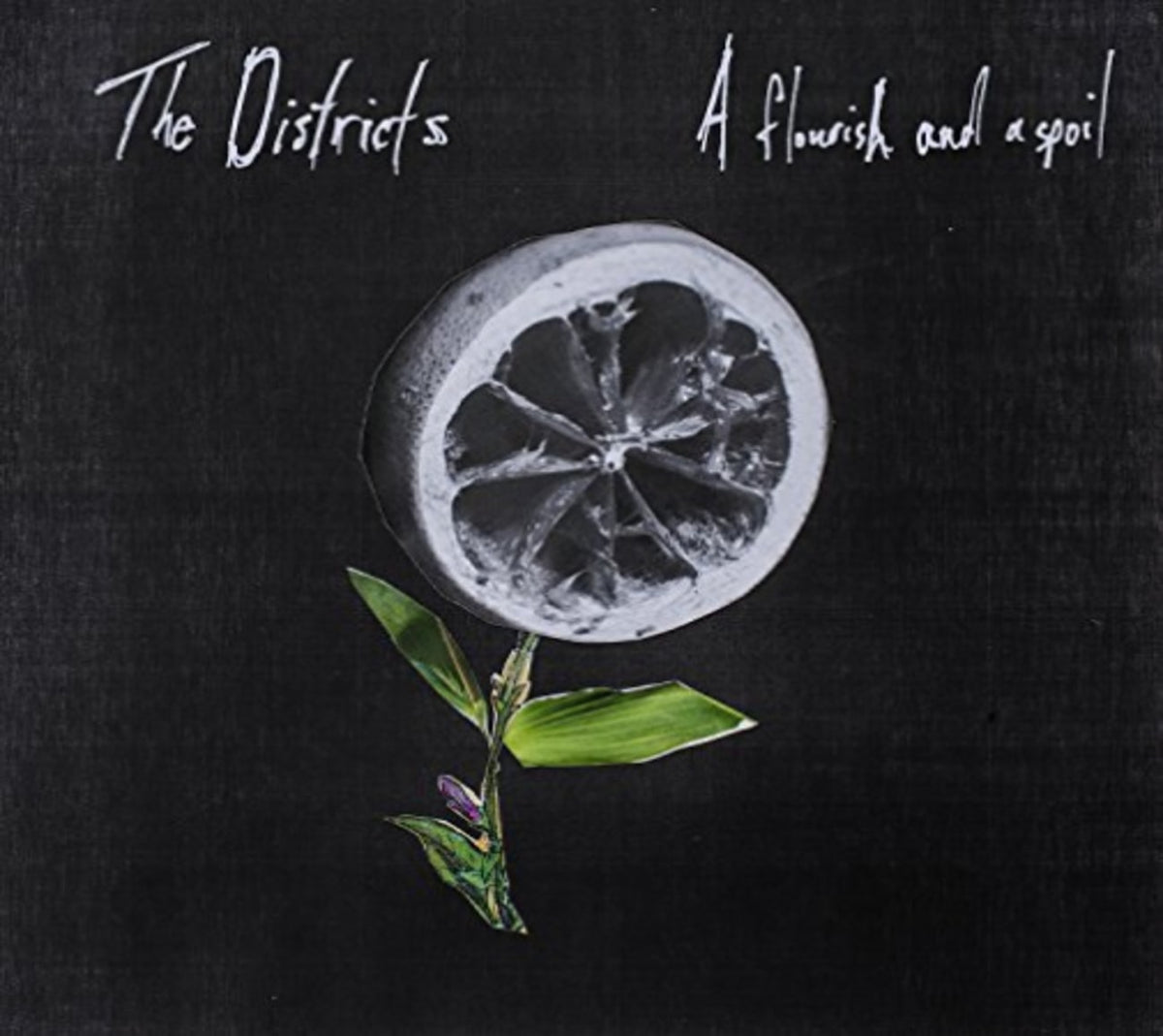 The Districts - Flourish and a Spoil - [CD]
