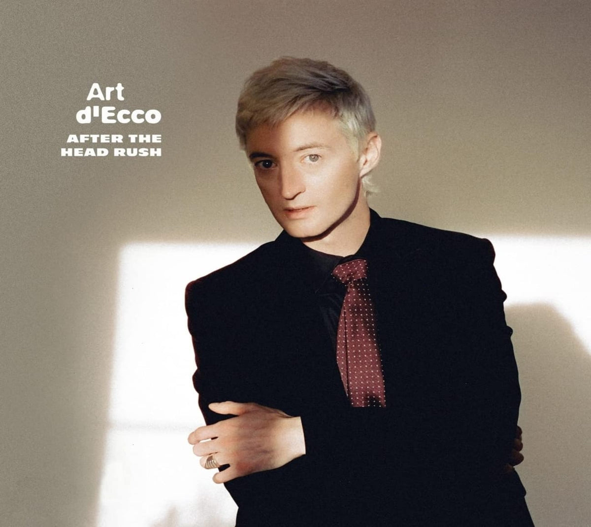 Art D'Eco - After The Head Rush - [CD]