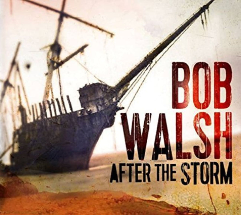 Bob Walsh - After the Storm - [CD]